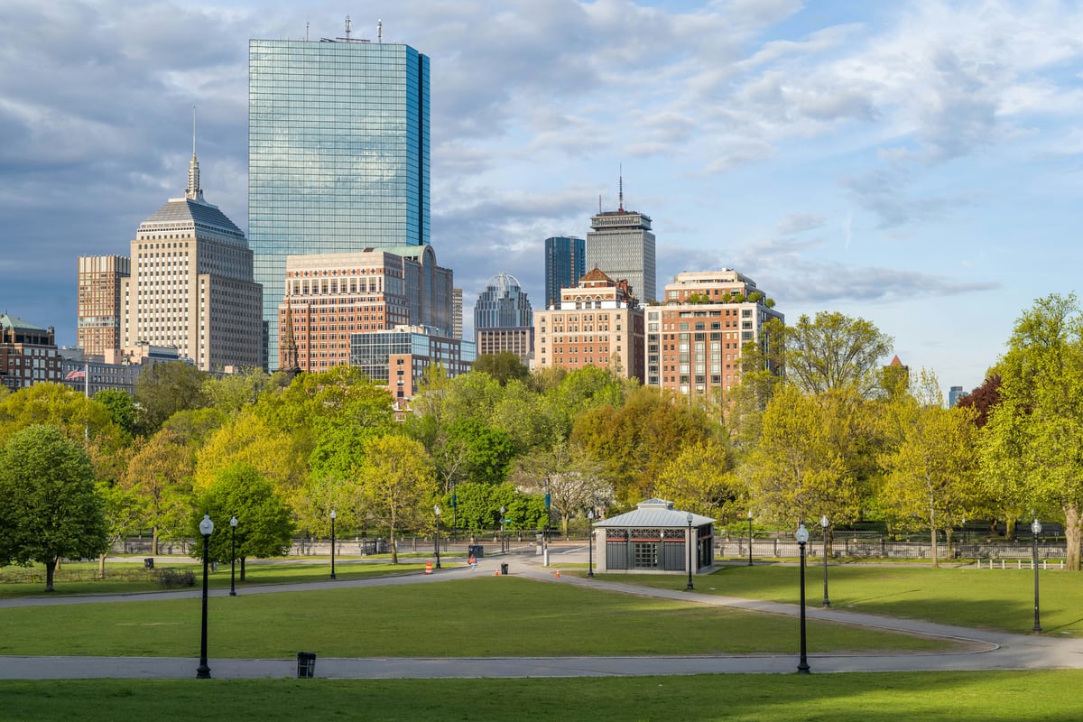 A public park in spring with mown grass, lamp posts and new leaves, a mirrored glass tower rising behind the treeline