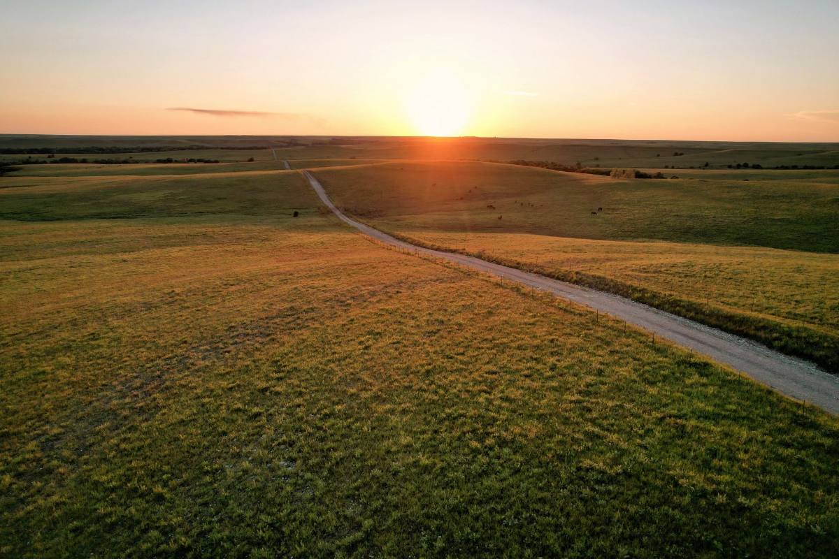 A dirt track running to the horizon across open grassland at sunset