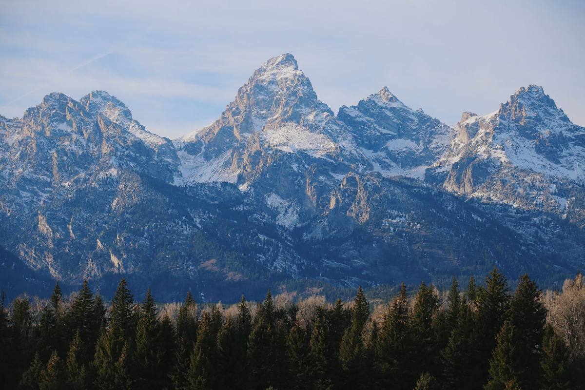 A row of sharp snow-covered peaks rising straight out of dark forest